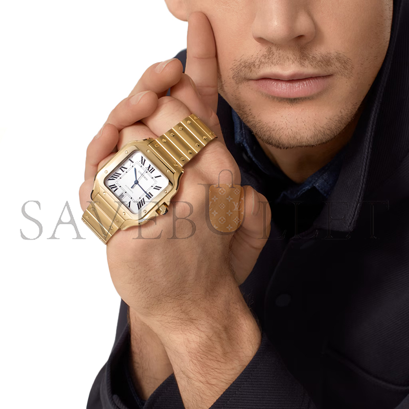 CARTIER SANTOS DE CARTIER WATCH WGSA0029